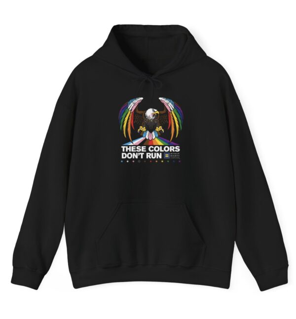 Colors Don’t Run Rainbow Eagle Hoodie