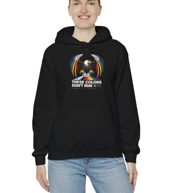 Colors Don’t Run Rainbow Eagle Hoodie