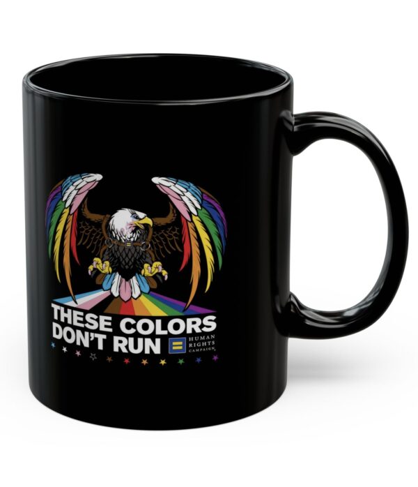 Colors Don’t Run Rainbow Eagle Mug