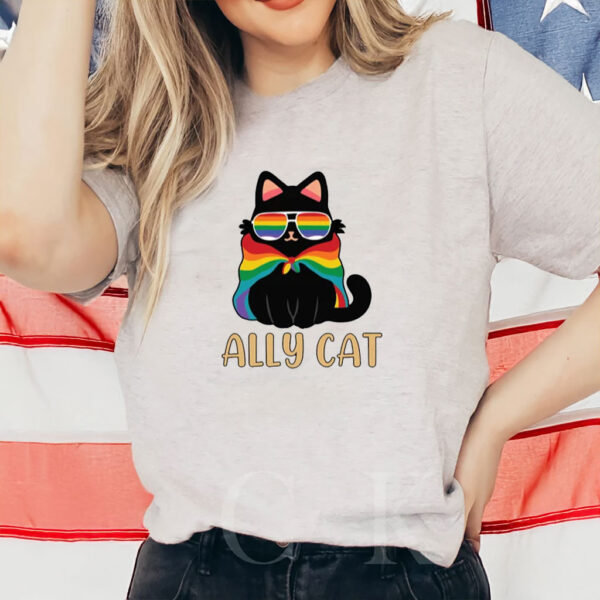 Pride Ally Cat Shirt, Retro Rainbow Colors Cat Ally Shirt