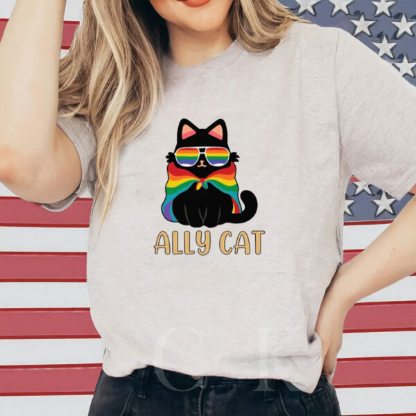Pride Ally Cat Shirt, Retro Rainbow Colors Cat Ally Shirt